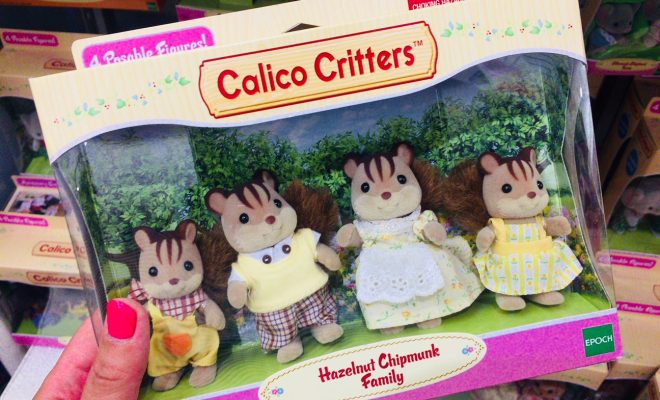 ハワイのお土産で子供のおもちゃが買える10店舗をチェック Kimama Hawaii
